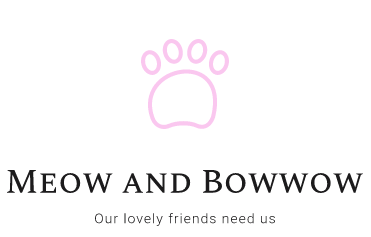 Meow And Bowwow