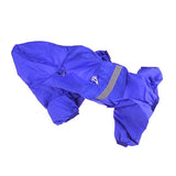 Raincoat Puppy
